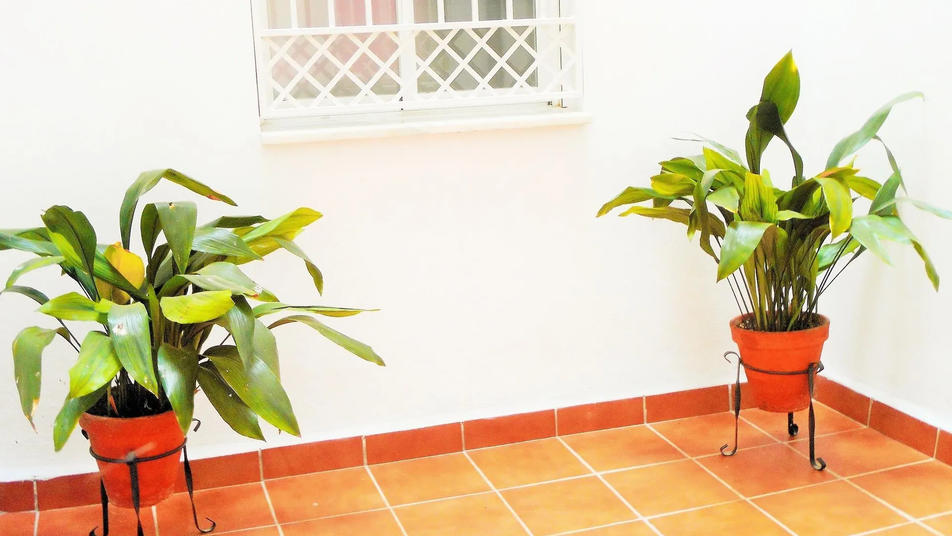 Martin House & Granada Bed & Breakfast